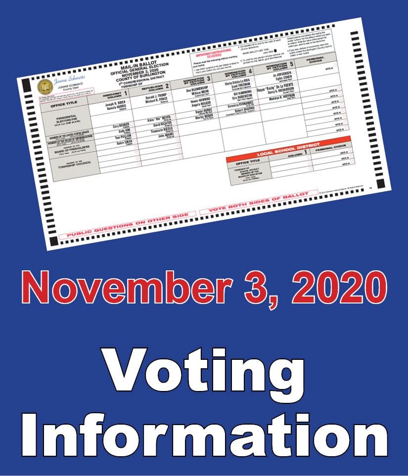 Voting news graphics-3