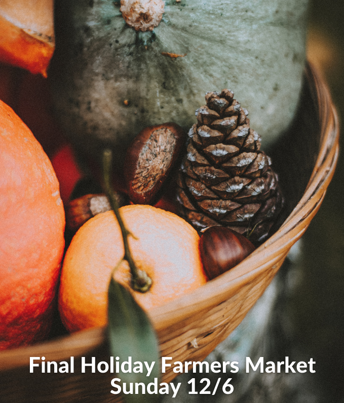 Forum on Police Interaction (11)