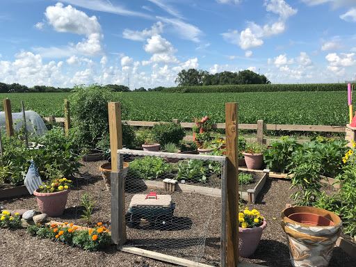 community garden 