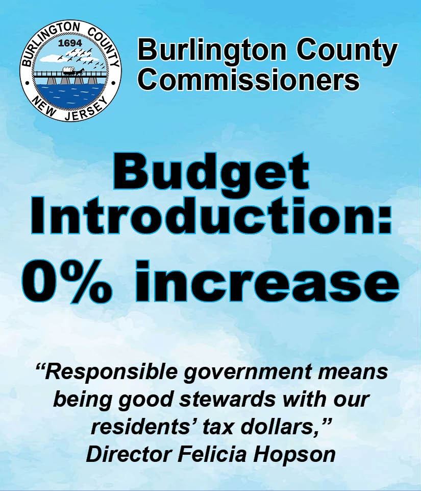Budget Graphic for Website