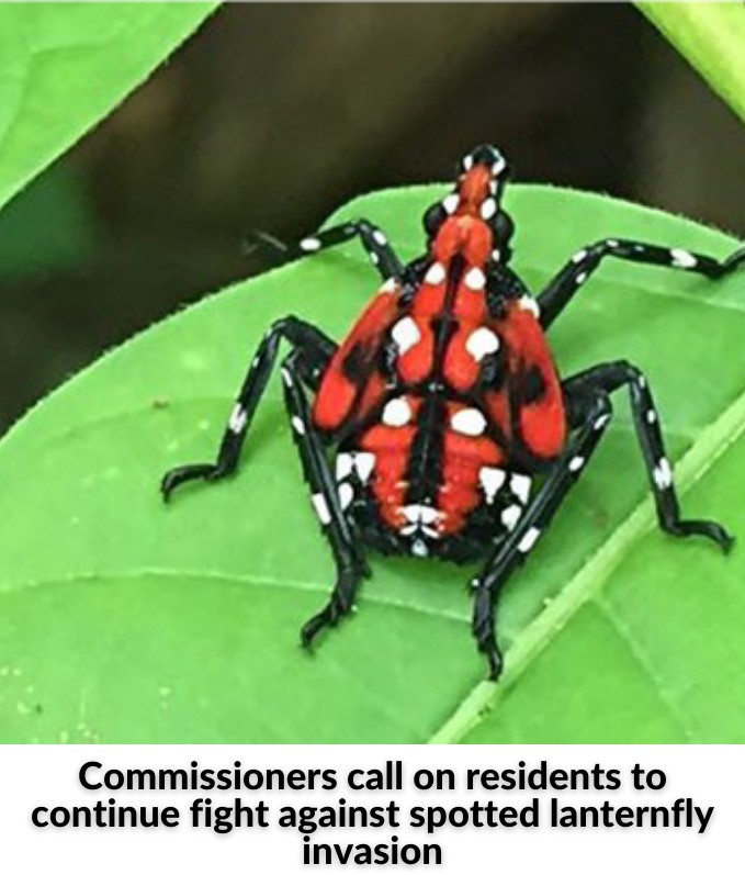 Forum on Police Interaction - 2021-07-26T105122.491