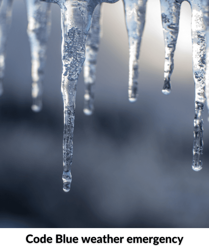 Forum on Police Interaction - 2021-11-04T151813.123