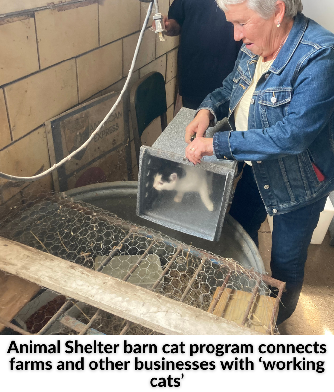 Forum on Police Interaction - 2021-11-30T141402.406