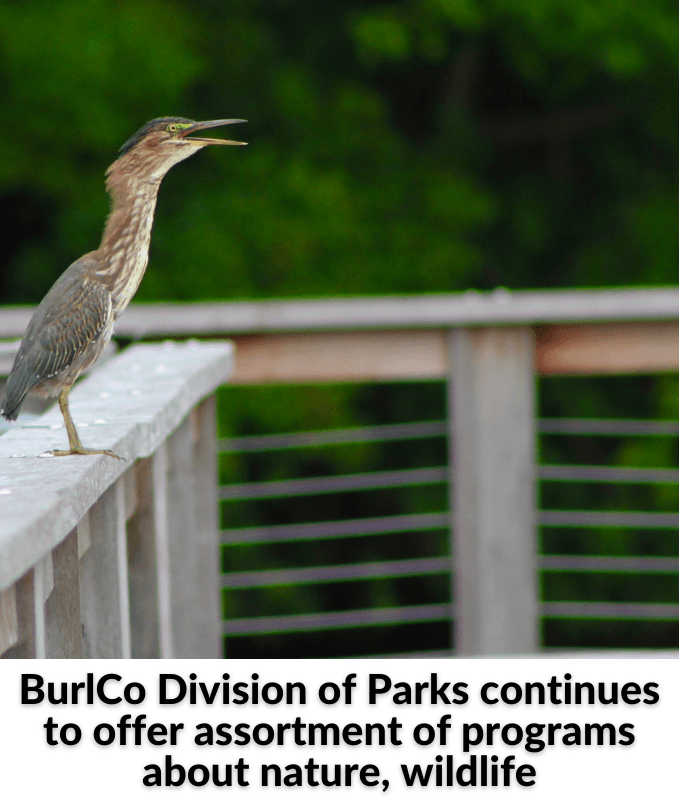 Forum on Police Interaction - 2022-02-04T092245.172