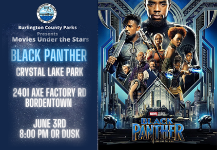 BlackPantherSpotlight