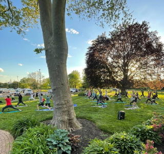 Untitled design (15)