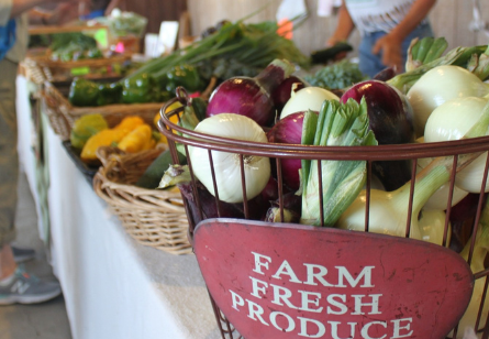 Untitled design (17)