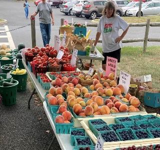 farmers market vouchers 1 resized