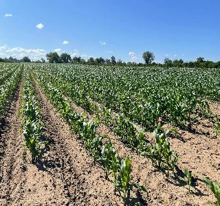 Farmland preservation 3