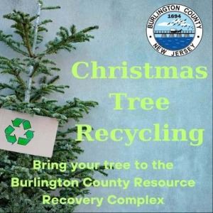 Christmas Tree Recycling at Complex resized