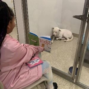 Animal Shelter-Read to Animals Mount Laurel class 1
