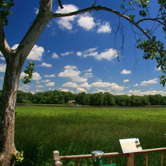 Open Space Survey 1 resized