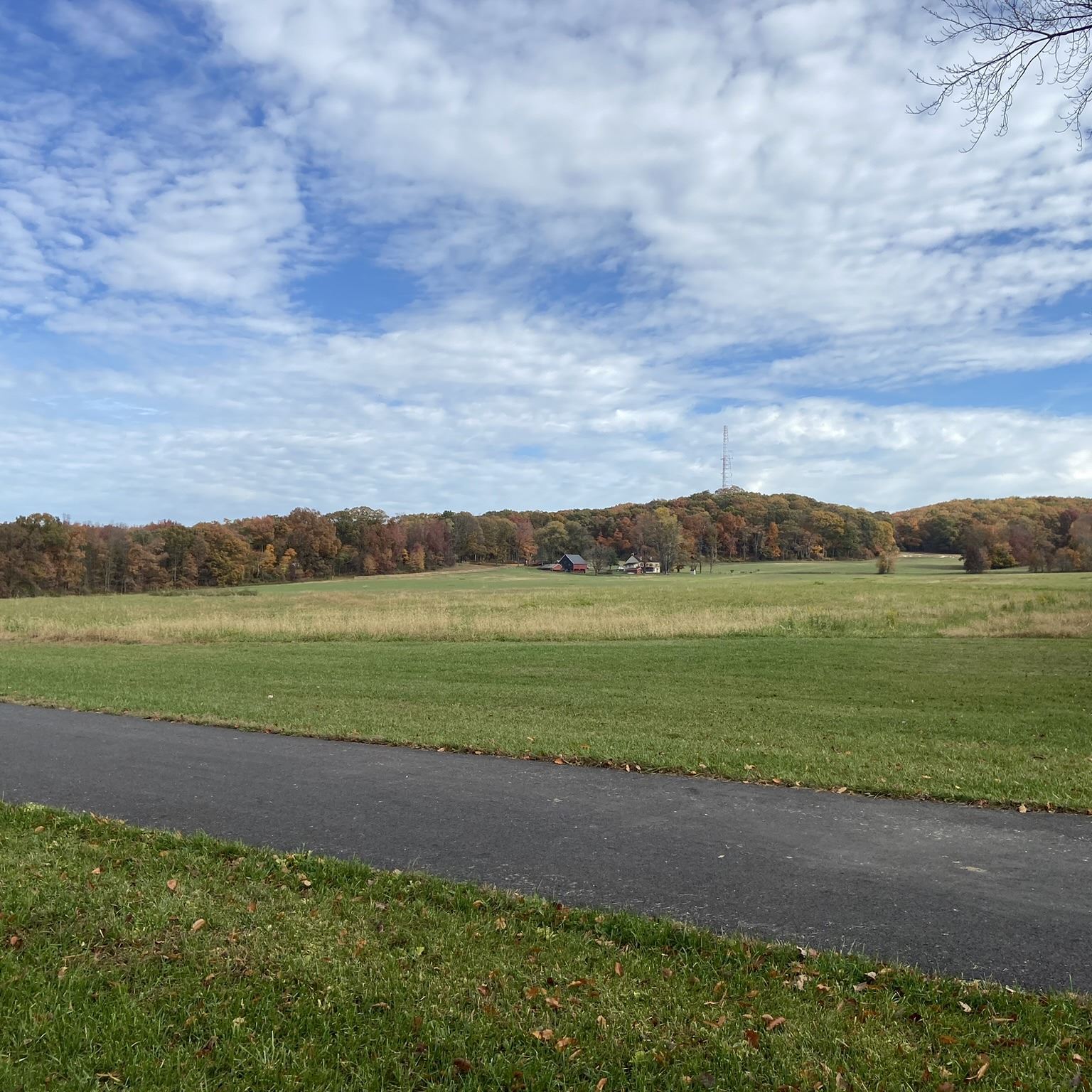 Arneys Mount Trail 3 resized