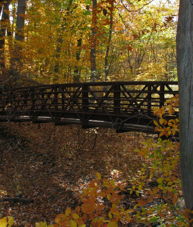 Smithville Park Trails